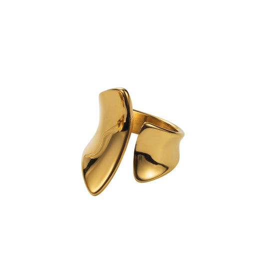 ANILLO PART OF ME